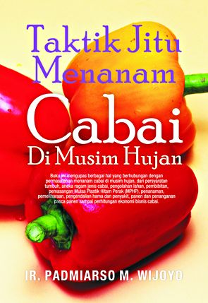 Cover Taktik Jitu Menanam Cabai Di Musim Penghujan